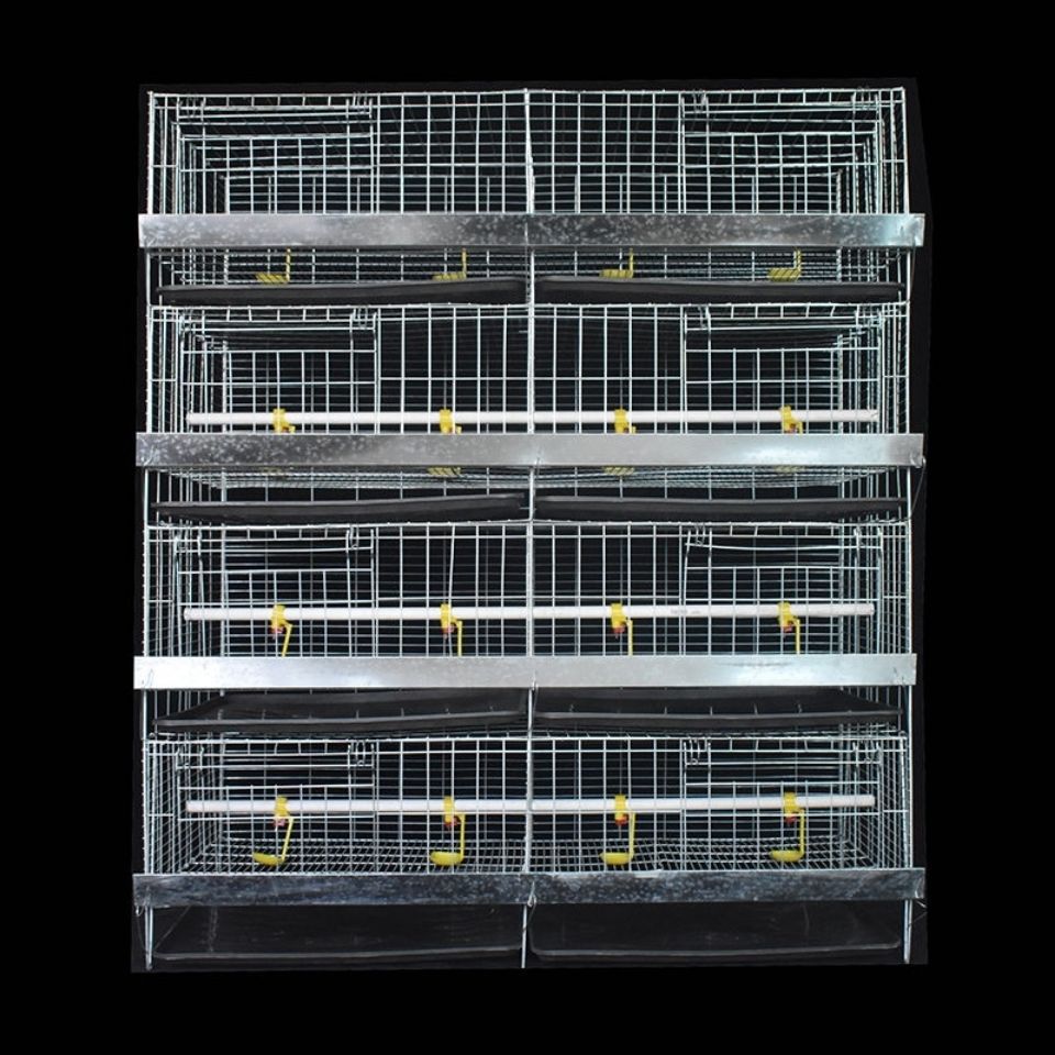 小鸡笼加粗鸡笼网立式小鸡养殖笼雏鸡笼加密鸡苗育雏笼鸡鸭繁殖笼