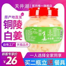 天井湖糖醋姜铜陵生姜安徽特产即食腌制甜白姜泡姜嫩姜新鲜泡仔姜