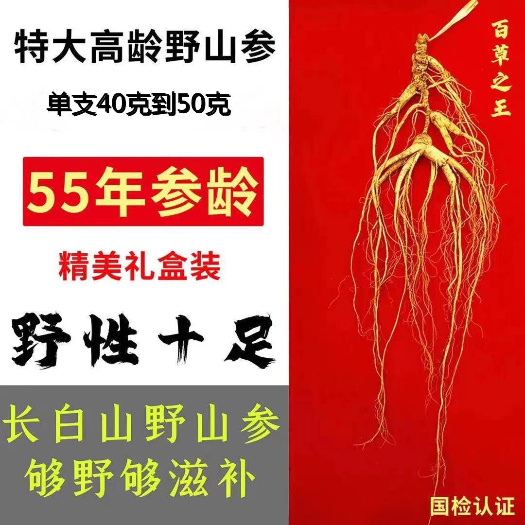 包邮人参长白山人参野山参55年老野生人参干参林下参泡酒煲汤 礼