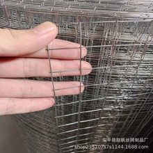 镀锌铁丝网抹灰钢丝网养殖网热镀锌电焊网钢丝网片网格批发