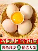 【当日鲜蛋】农家散养土鸡蛋新鲜柴鸡蛋草地虫谷蛋30枚礼盒装