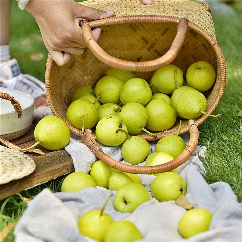攀枝花米易谜梨老品种脆甜香梨小梨子迷梨早酥梨早金花梨雪梨0624