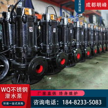 供应WQ不锈钢潜水泵污水污物处理304化工排污泵316耐酸碱工业用泵