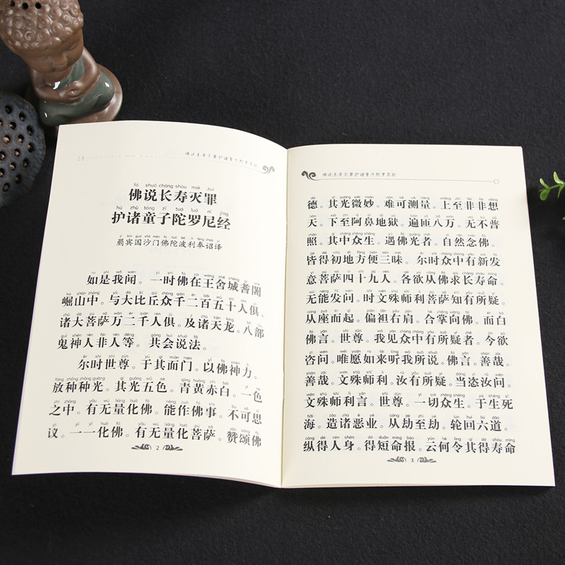 佛经注音版诵读本大字经书心经金刚地藏普门药师佛教早晚课代发