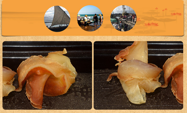 红螺肉深海大鲍螺 海螺头肉 原只响螺 淡干渔民船晒 酒店食材500g