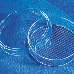 60mm直径培养皿,带格 tc表面 ps材质 康宁进口耗材corning430196