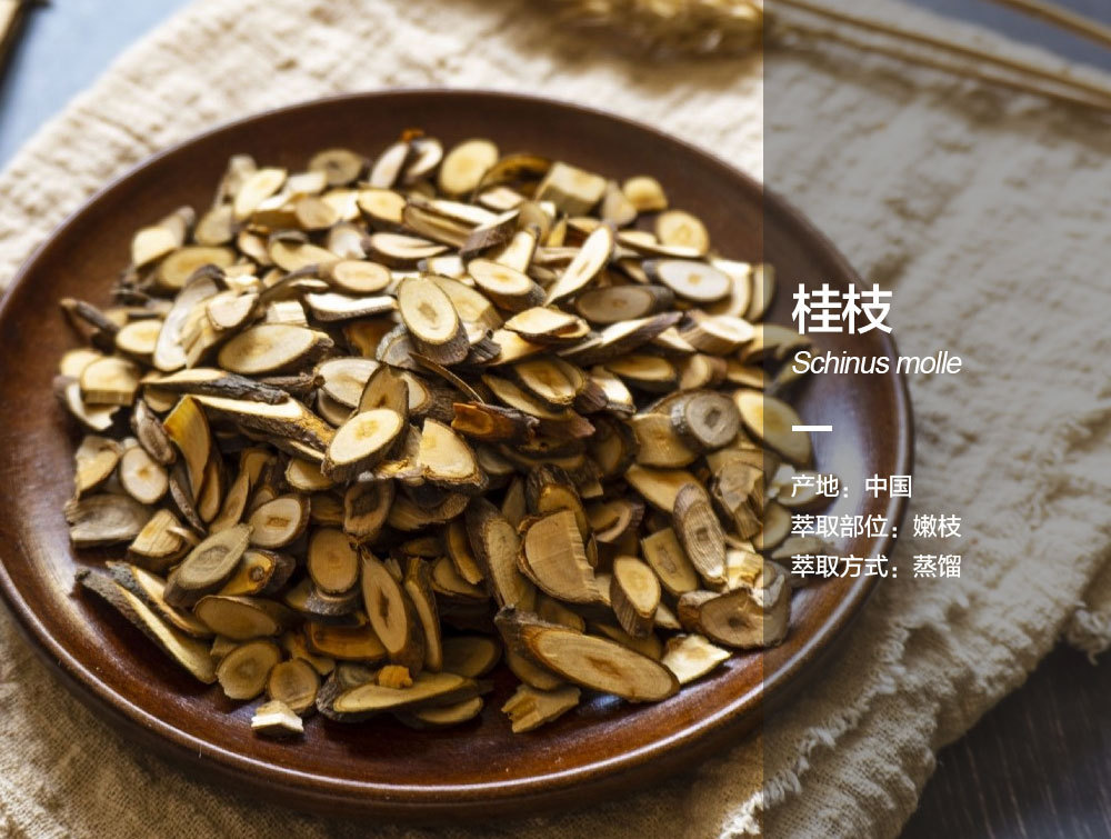 功效品牌oem保质期3年产品规格5ml,100ml成分原料桂枝净含量5(g/ml)