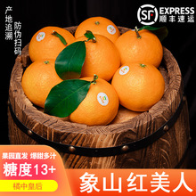 【果园直发】象山红美人柑橘爱媛果冻橙28号桔子新鲜水果当季
