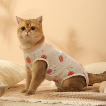 猫咪绝育服母猫断奶服宠物术后防舔衣服母狗猫公猫绑带猫猫手术美