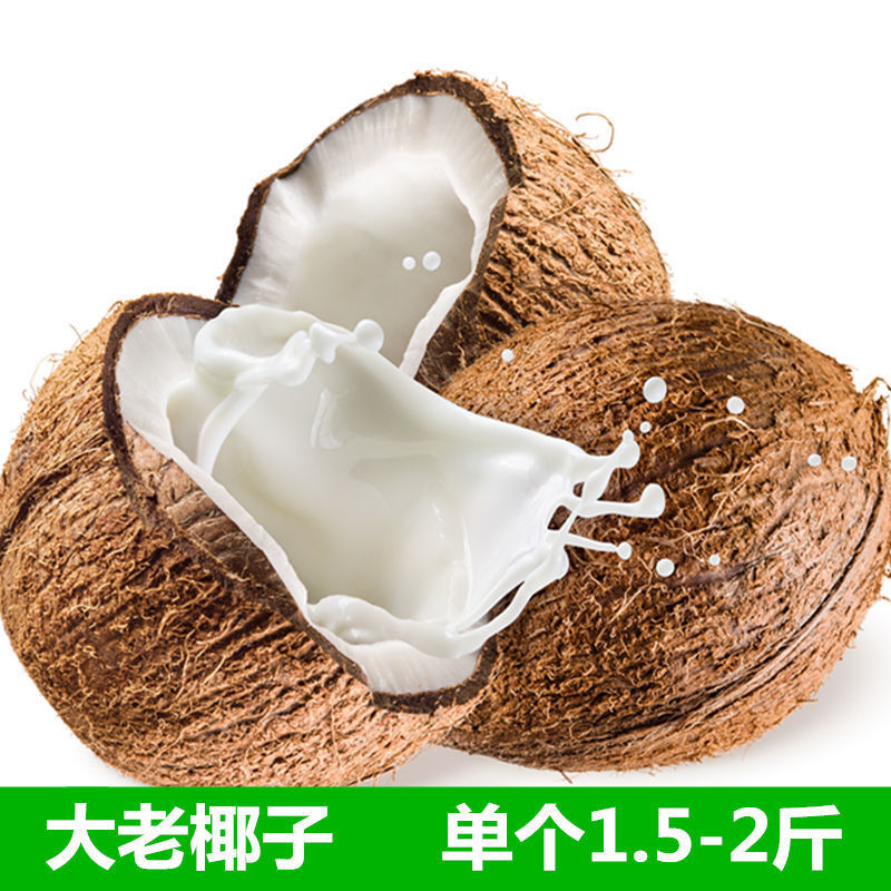 海南新鲜椰子批发老椰子特产水果毛椰子吃的小椰子水椰肉椰皇