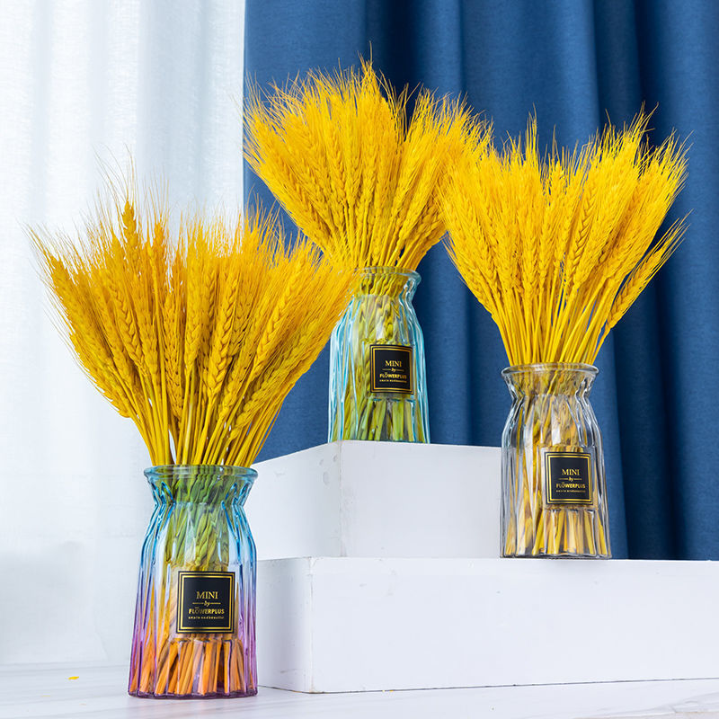天然黄金麦穗干花招财旺宅新年客厅摆放花瓶田园摆拍玄关装饰大麦