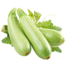 10斤整箱包邮新鲜西葫芦西湖瓜三月瓜小瓜茭瓜季新鲜蔬菜现摘现发