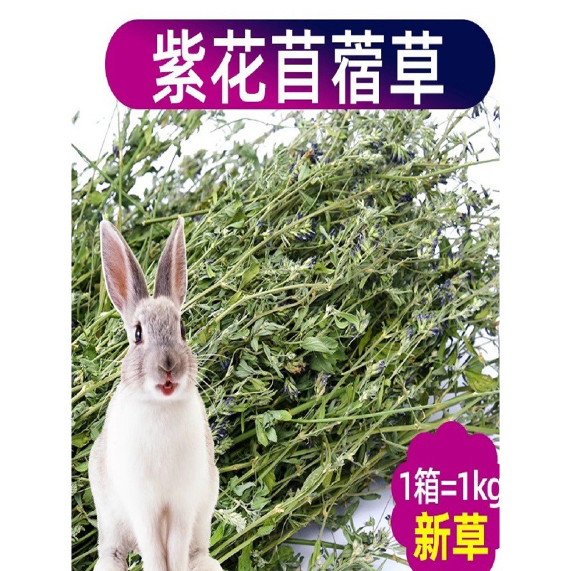兔子吃的干草饲料粮食龙猫豚鼠饲料紫色苜蓿草新草荷兰猪通用牧草