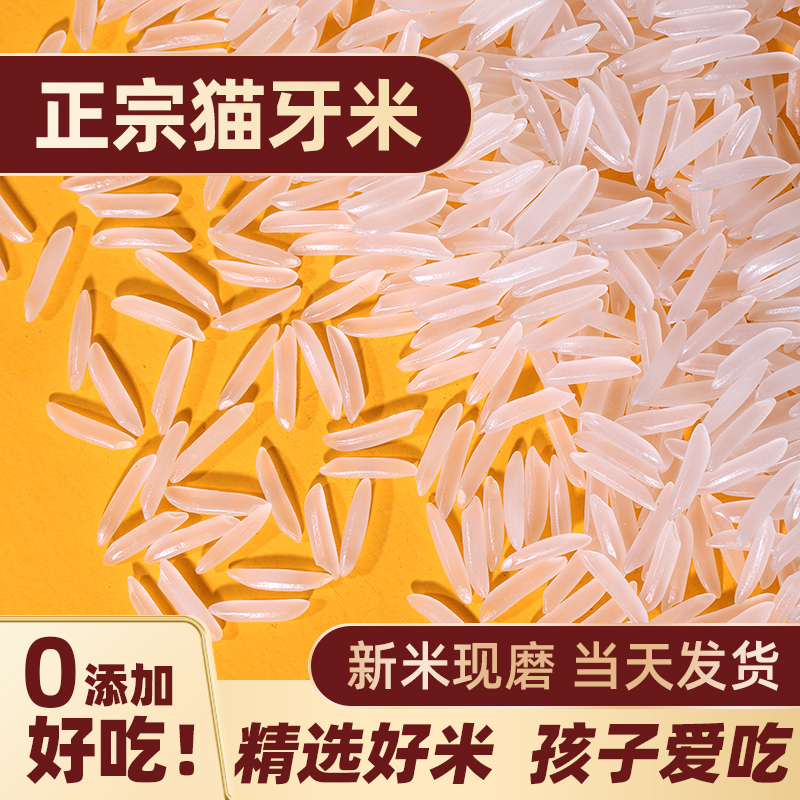 猫牙米长粒香米大米2023年新米籼米油粘米丝苗米炒饭煲仔饭米