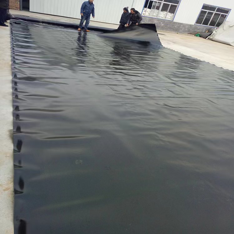Factory Direct Supply Hdpe Geomembrane Landfill Anti-Permeability Membrane Biogas Digester Oxidation Pond Black Mask Fish Pond