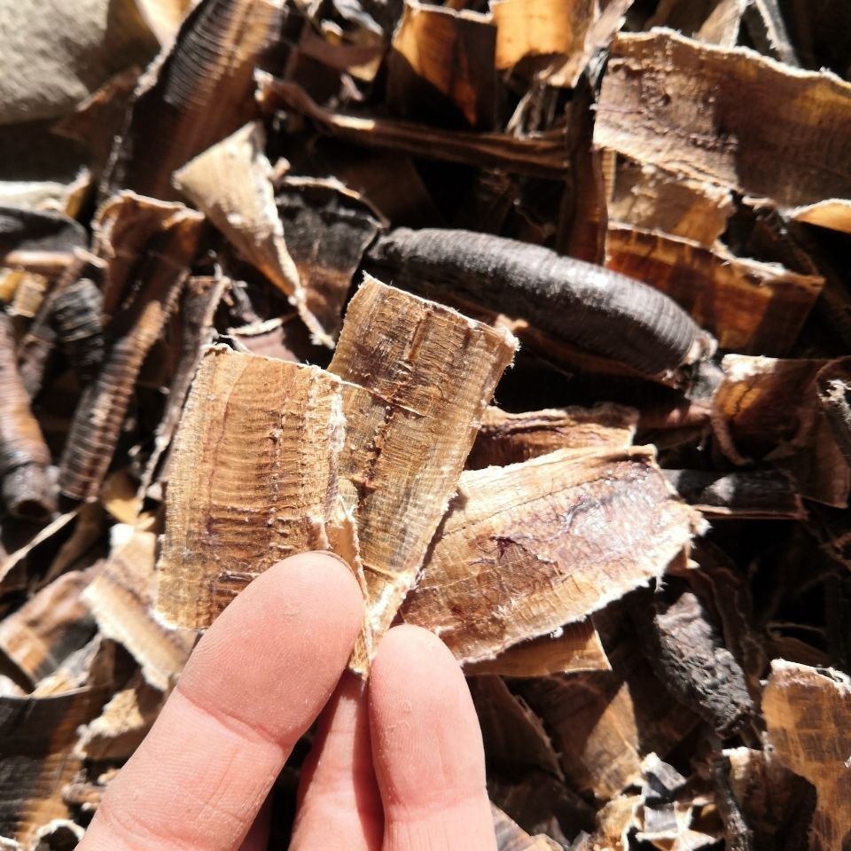地龙干片地龙粉批发蚯蚓皮干广西全开无土大片货地龙皮
