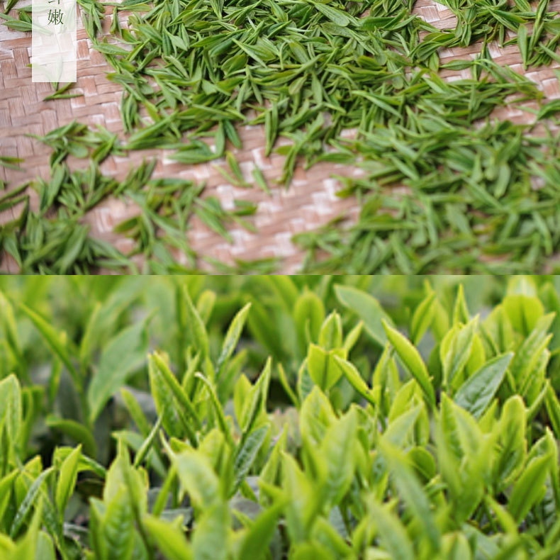 茶叶绿茶福建明前高山云雾茶外形鲜嫩细小滋味鲜爽回甘新茶60克