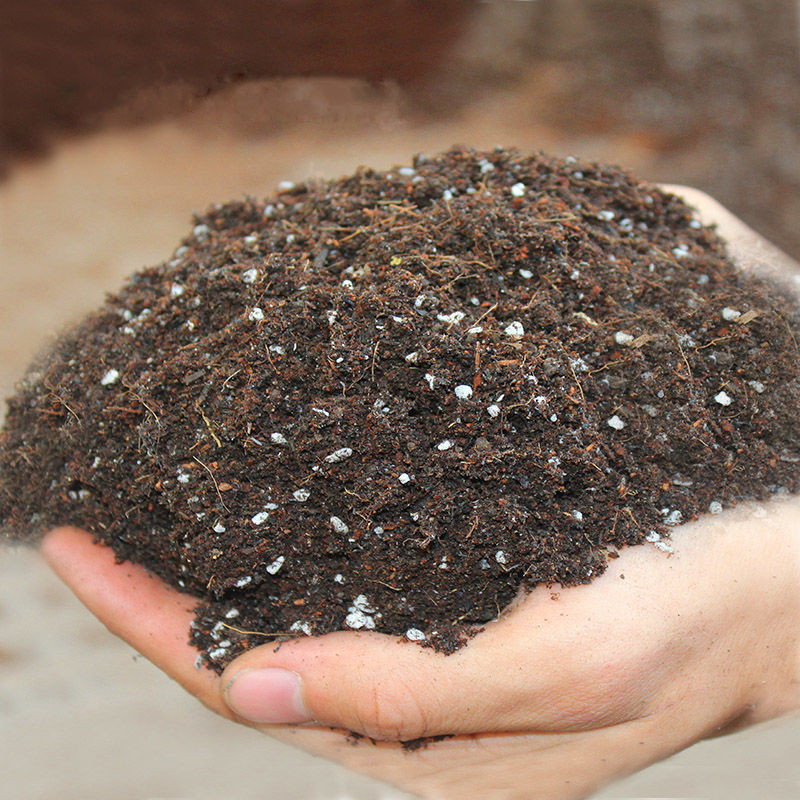 种菜土营养土花土种植土通用型泥炭土土种菜有机盆栽花卉土壤