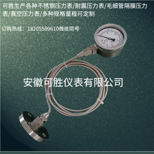 法兰DN25毛细软管延长连接不锈钢隔膜耐震压力表Y-100/0-60MPA