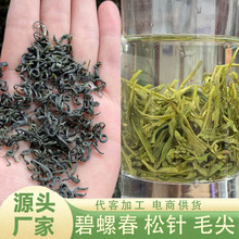 毛尖 松针 碧螺春绿茶散茶 散装茶叶自己喝 现货批发 厂家量大