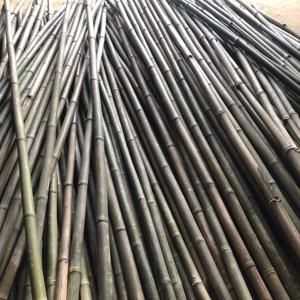 竹竿彩旗专用竹竿旗杆各种尺寸长度路边旗杆竹子批发