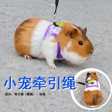 Dutch pig leash rabbit leash slipping young rabbit跨境专供代