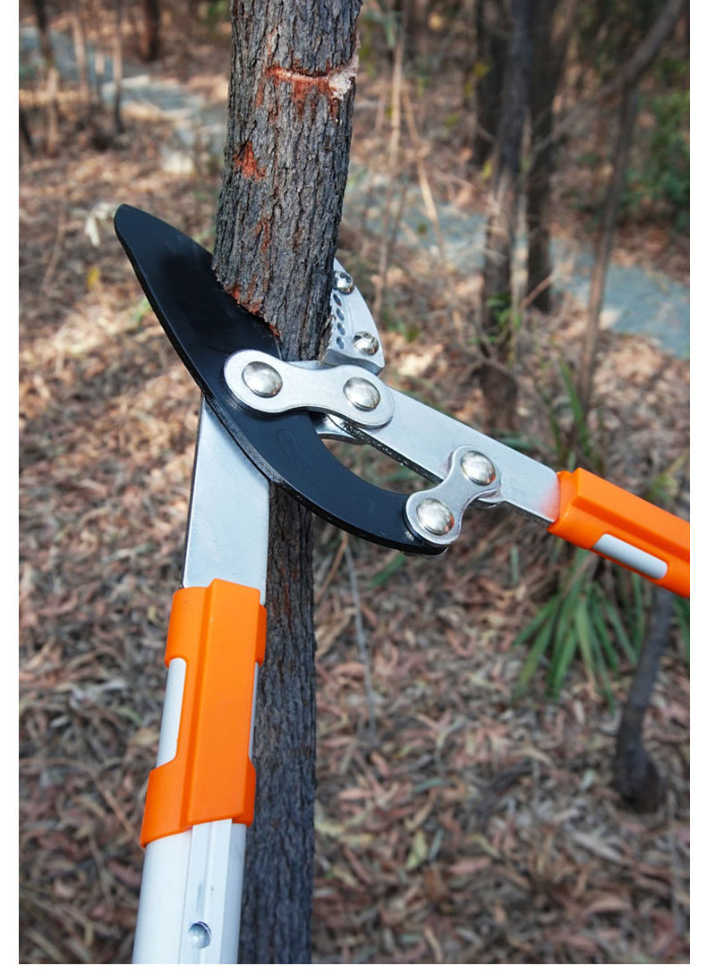 进口高枝剪果树剪鲨鱼嘴园艺剪刀园林省力修枝剪强力粗枝剪大力剪