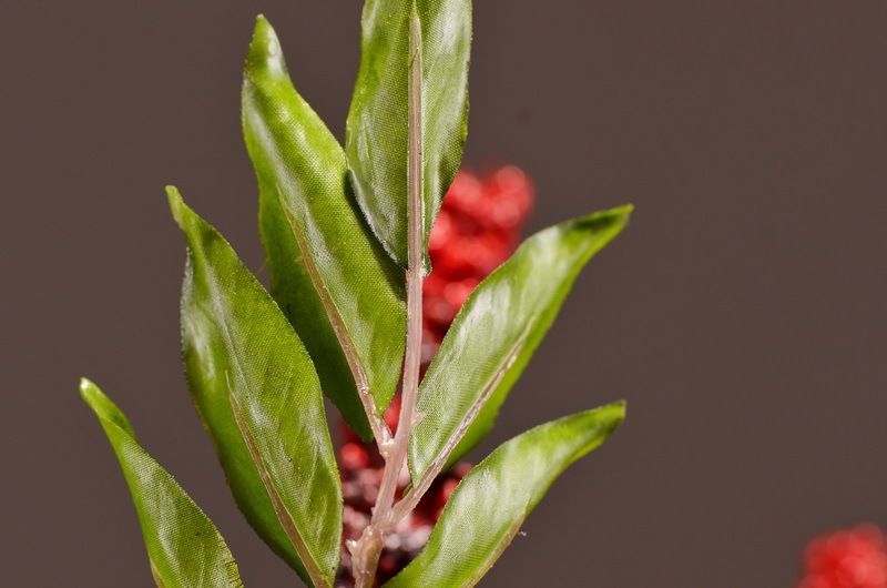 花知厂家直销仿真花假花花椒簕家居装饰客厅样板间摄影道具插花
