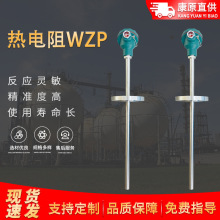 供应装配式热电阻 WZP-430热电阻 固定螺纹热电阻 固定法兰热电阻