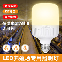 暖光灯泡螺口led灯超亮节能黄光led灯鸡蛋养殖场专用灯养鸡场补光