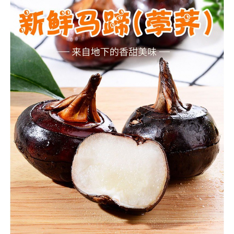 特大果农家现挖清水马蹄荸荠水果新鲜蔬菜地梨地栗马蹄源头批发厂