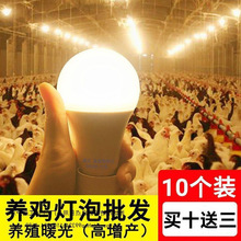 低压养殖led灯可调光220伏灯泡养鸡场照明防水家禽养殖灯
