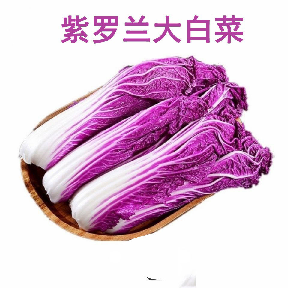 5斤包邮紫罗兰大白菜农家新鲜紫白菜韩国大白菜花青素蔬菜