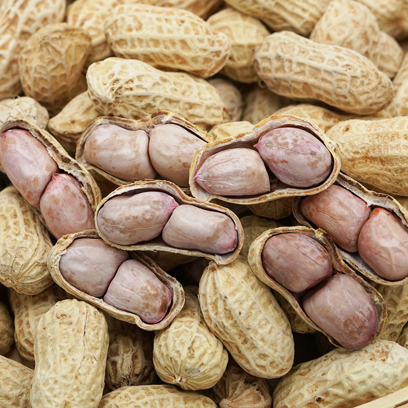 忠信花生忠信源发花生水煮花生咸干花生农家黑脆花生广东客家特产