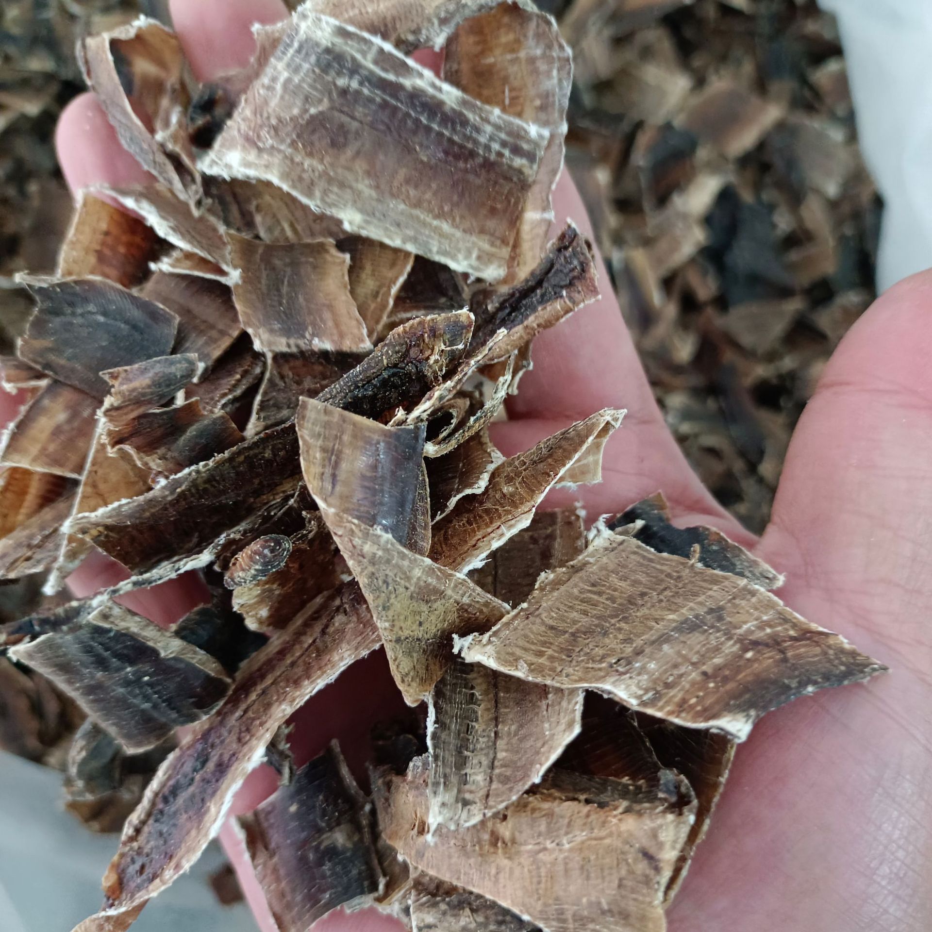 地龙全开地龙 蚯蚓干中草药寻千草批发直销【文杰中药材】