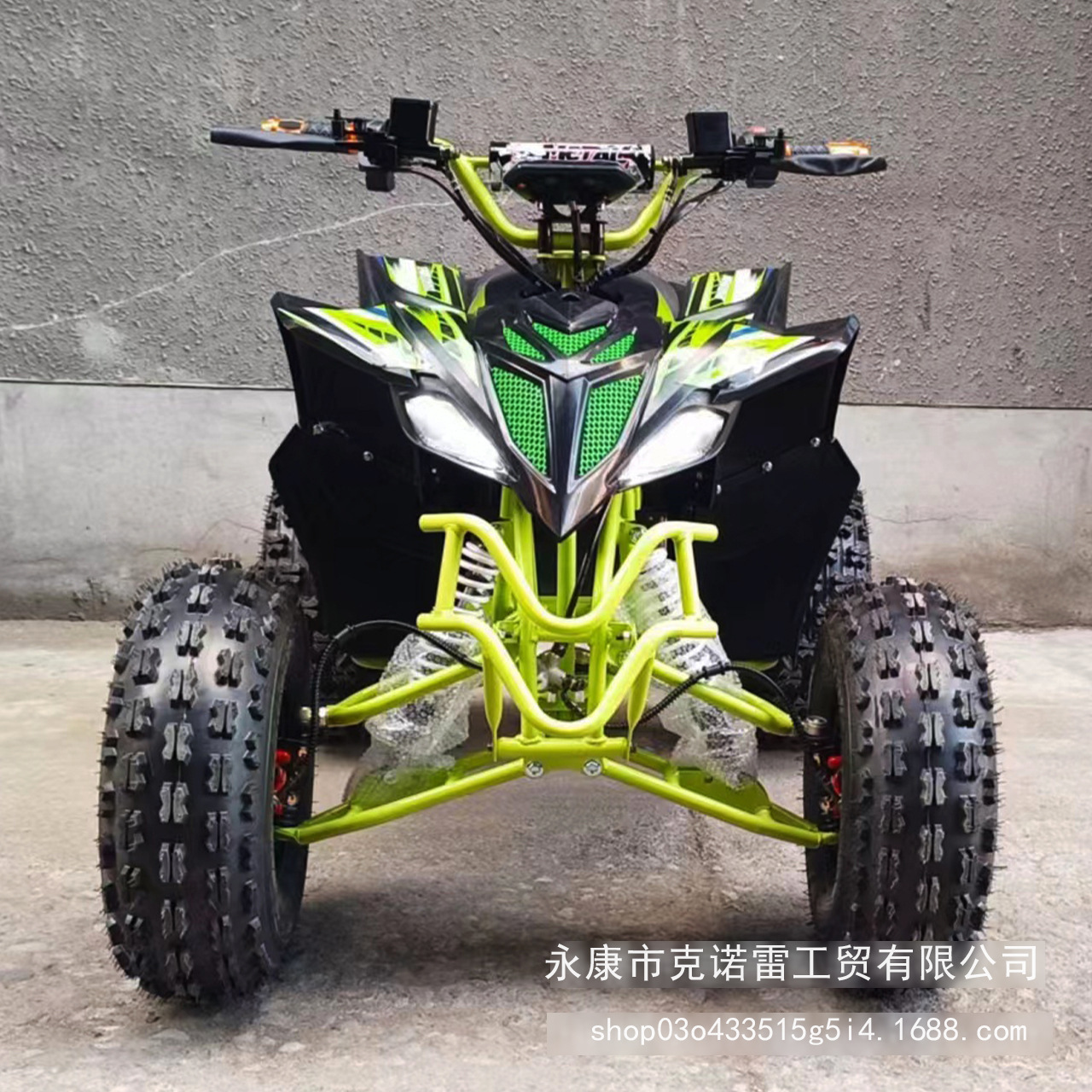 跨境新款1000w 750w 60v电动四轮沙滩车越野车成人electric atv