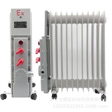 立儒佳工业防爆电热油汀厂家  3KW暖风机热风机 电动取暖器