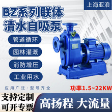 BZ清水自吸泵不锈钢轴灌溉循环增压抽水泵冷热水直联式卧式离心泵