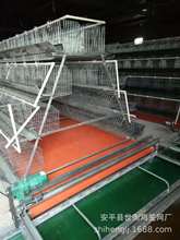 河北安平笼子老厂家做各种蛋鸡笼 肉鸡笼等全自动养殖设备