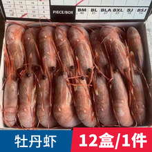批发加拿大牡丹虾刺身级海鲜斑点对虾料理寿司冷冻北极虾高端食材