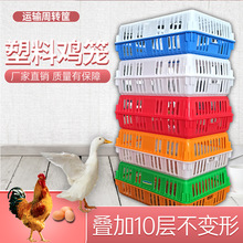 鸡笼周转箱鸡鸭鸽子笼笼鹅运输养殖通用塑料笼家禽大号兔笼子加厚