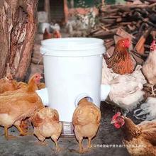 鸡鸭鹅自动下料器喂食器家禽喂料桶重力喂食器小鸡喂防撒食槽料槽