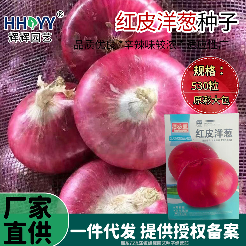 现货批发红皮洋葱种子紫皮洋葱种籽苗紫色圆葱种籽四季蔬菜种子