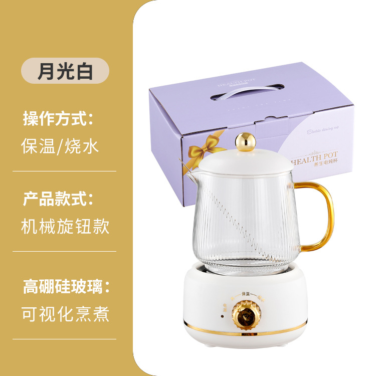 Health Pot Office Small Multi-Functional Mini Electric Kettle Health Bottle Household Hot Milk Burning Flower Tea Cup