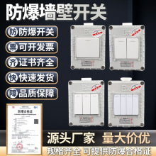 防爆墙壁开关86型面板220V10A明装暗装一位单控双控按板 照明开关