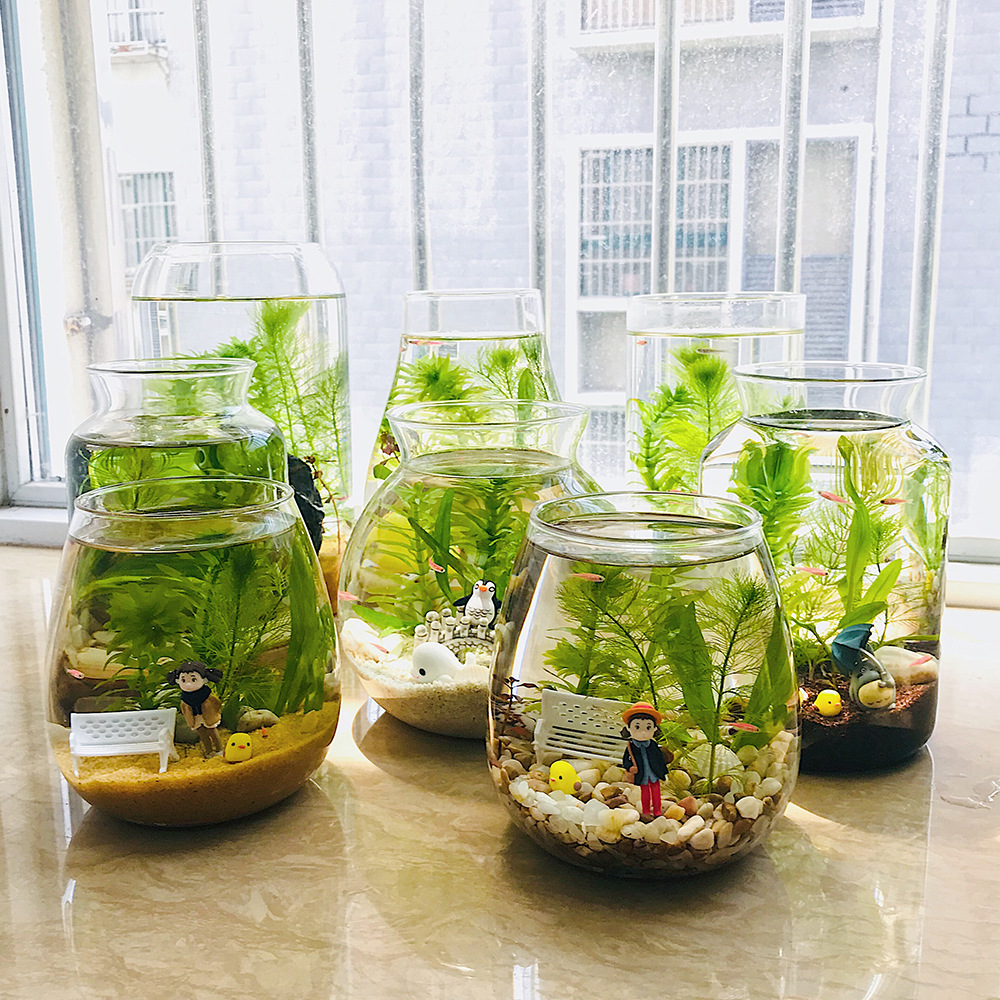 观赏生态瓶鱼微景观带灯免换水鱼缸diy小型办公桌面创意小鱼缸