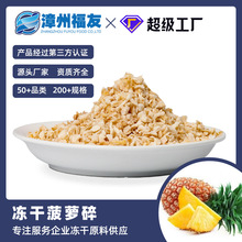 漳州福友批发冻干菠萝碎水果月饼馅料燕麦片烘焙原料水果茶 1-3mm