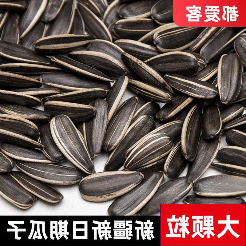 新疆特产都爱客原味瓜子阿勒泰瓜子精选葵花籽新货办公室追剧零食
