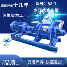 SZ-1水环式真空泵 工业用防冻抽真空机循环水抽气无油负压泵 英科