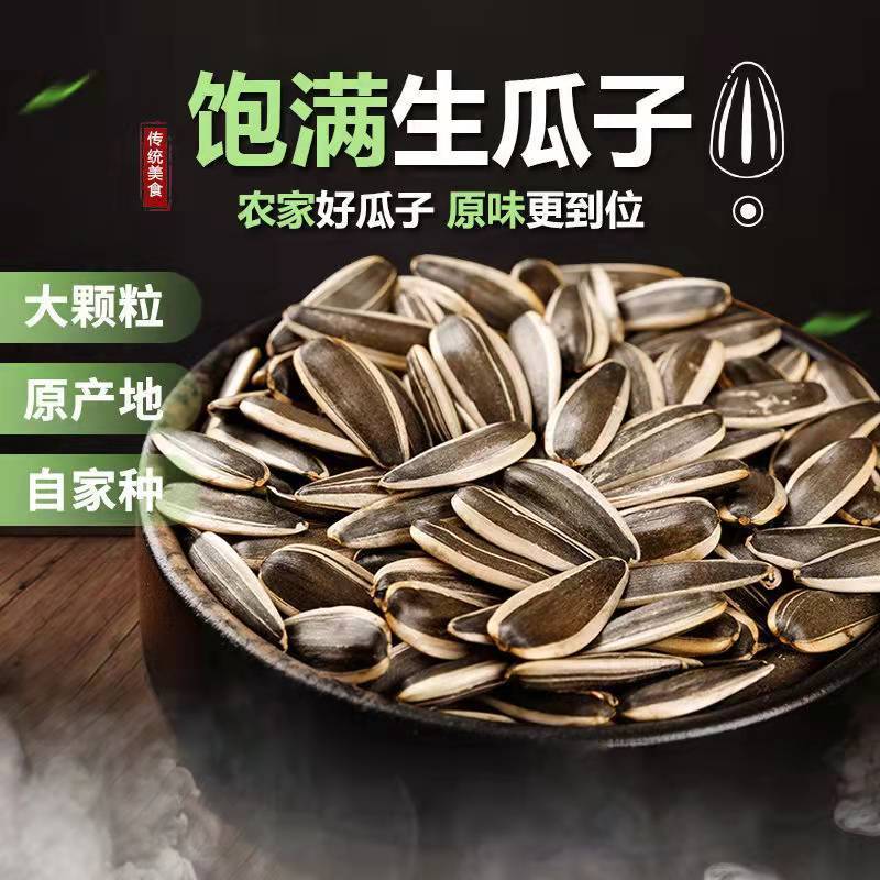 内蒙古生瓜子新货新鲜葵花籽原味瓜子特大颗粒香瓜子炒货零食批发